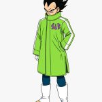 Dragon Ball Super Goku & Broly Vegeta SAB Coat