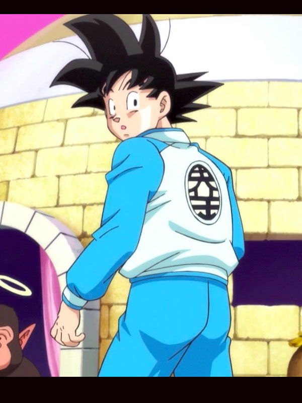 Goku Dragon Ball Z Blue Tracksuit