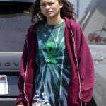 Euphoria Zendaya Hoodie