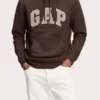 Mens Gap Hoodie Brown