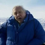 Planet Earth II David Attenborough Puffer Jacket