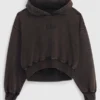 gap arch logo cropped Brown hoodie