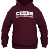 Ceebs maroon Hoodie