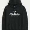 Hollister Logo Graphic Hoodie