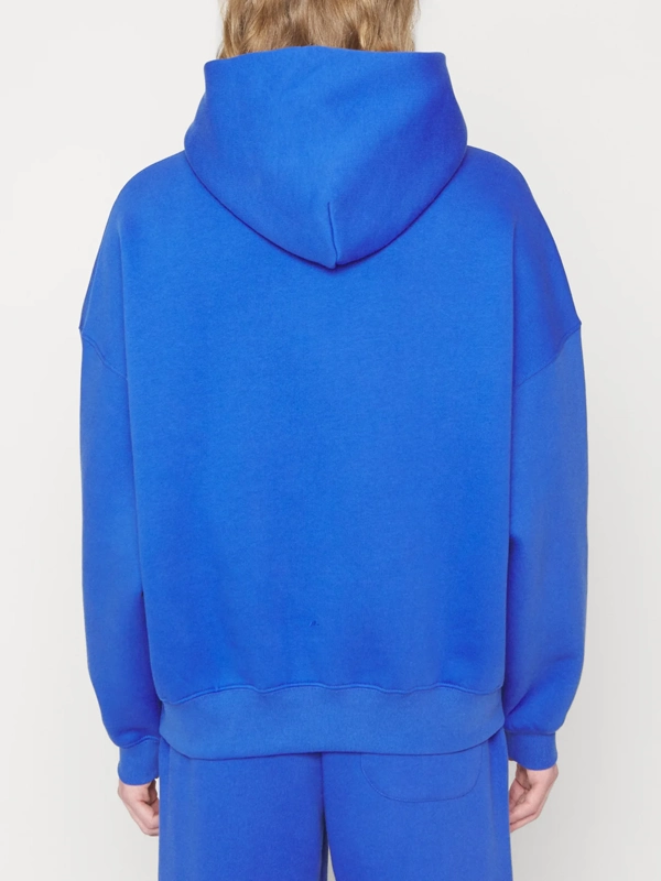 Wrstbhvr Blue Hoodie