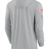 2024 Arizona Cardinals Salute to Service Gray Long Sleeve Hooded T-Shirt