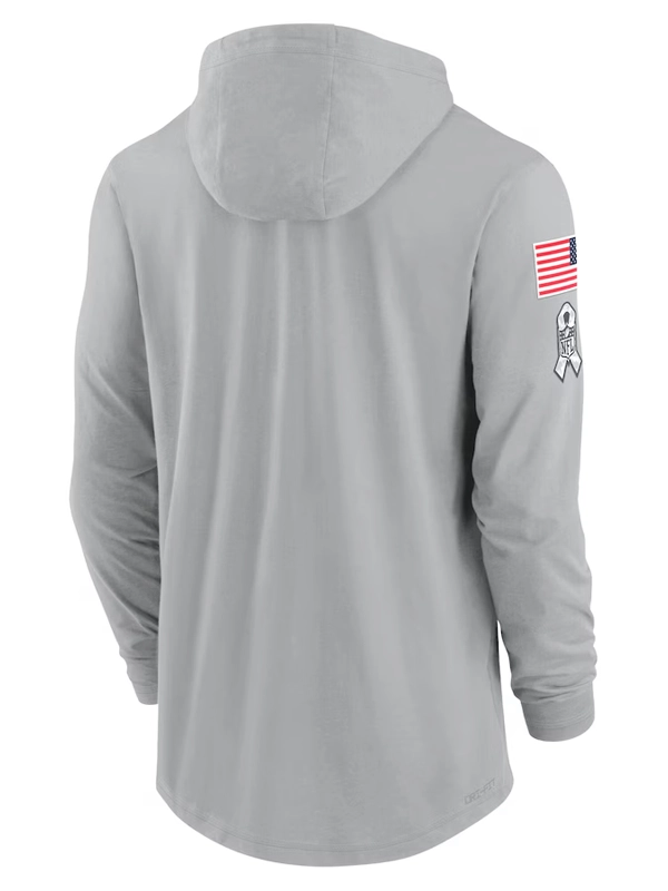 2024 Cincinnati Bengals Salute to Service Gray Long Sleeve Hooded T-Shirt