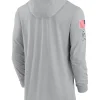 2024 Detroit Lions Salute to Service Gray Long Sleeve Hooded T-Shirt