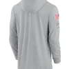 2024 Miami Dolphins Salute to Service Grey Long Sleeve Hooded T-Shirt