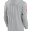 San Francisco 49ers Nike Gray 2024 Salute to Service Lightweight Performance Long Sleeve Hooded T-Shirt