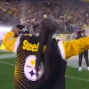 Snoop Dogg Steelers Jacket Black