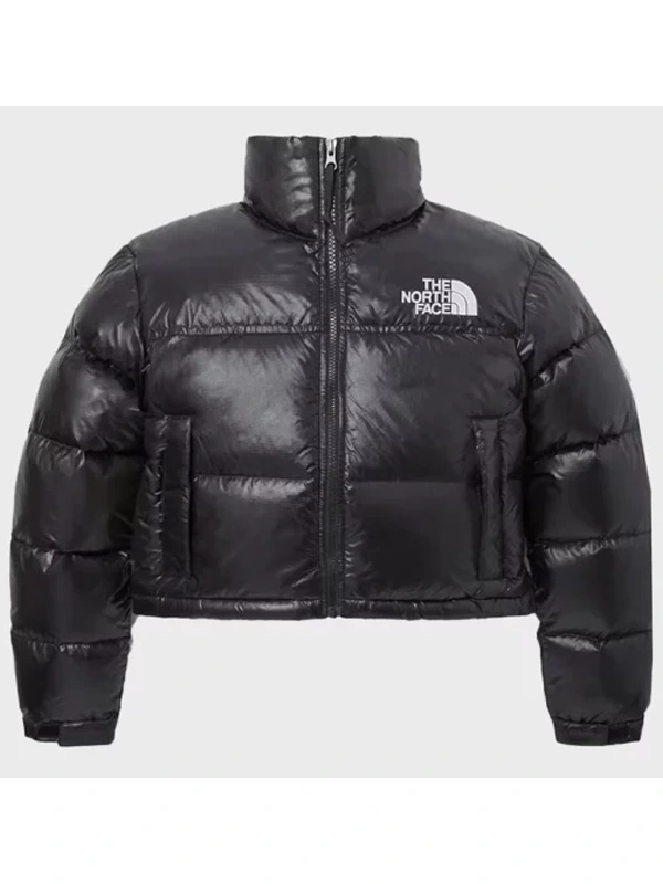 North face leather best sale