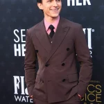 Critics Choice Awards 2024 Tom Holland Brown Blazer