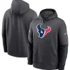 Houston Texans 2024 Sideline Club Hoodie Grey