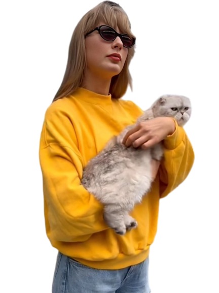 Taylor Swift Miami Eras Tour Yellow Sweatshirt