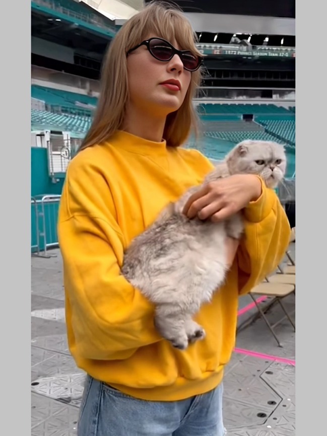 Taylor Swift Polo Ralph Lauren Yellow Crewneck Sweatshirt