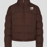 The North Face x Skims Jacket