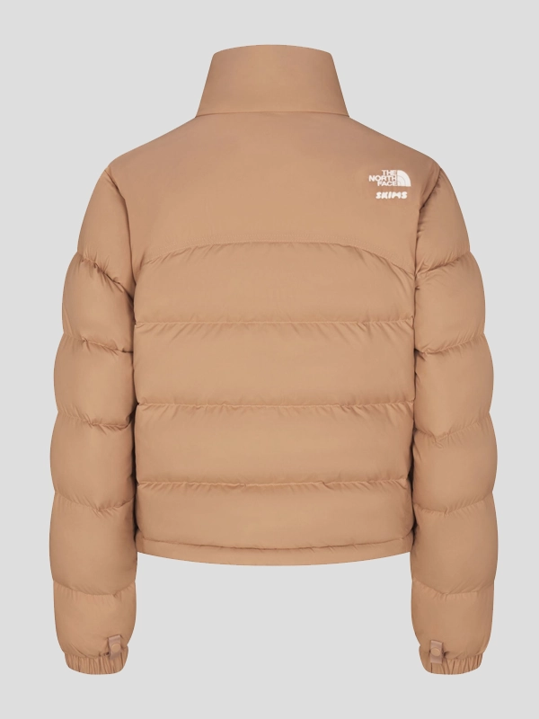 skims north face jacket price